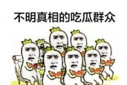 娱乐圈吃瓜群众群聊要安全吗,安全风险与自我保护指南
